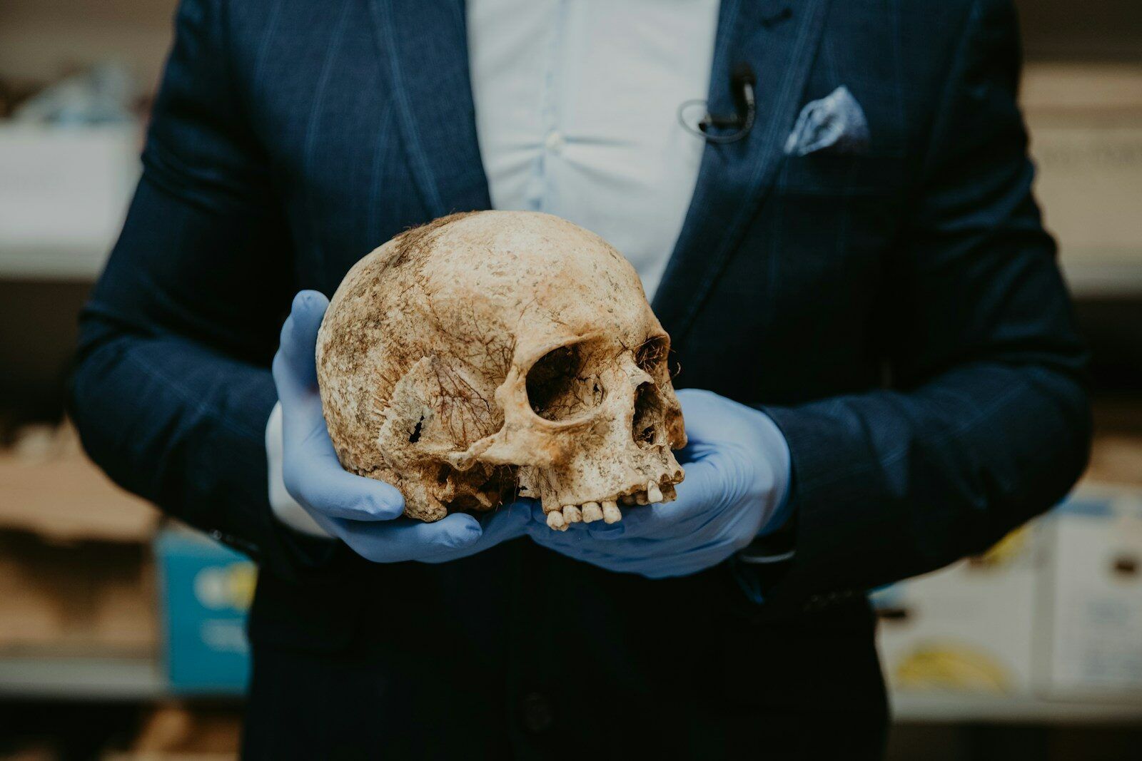 person in blue long sleeve shirt holding brown skull